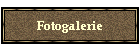 Fotogalerie